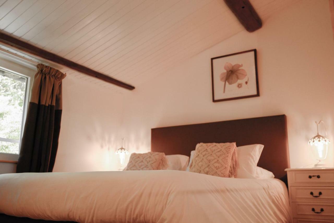 Chambres D'Hotes Domaine Du Hameau Baylesse Saint-Jean-d'Aigues-Vives Eksteriør bilde